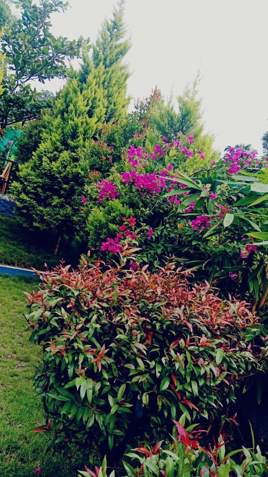 Serene Blossom Valley Tenkasi Exterior foto